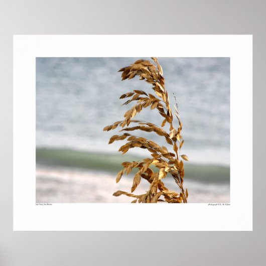 Zee haver, Zee Breeze Poster (Voorkant)