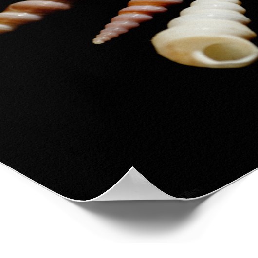 Zee Horns Poster (Hoek)