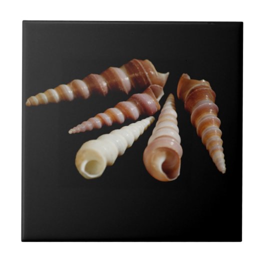 Zee Horns Tegeltje (Voorkant)