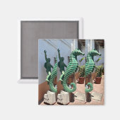 Zee Horse Rider Magnet (Voorkant / Achterkant)