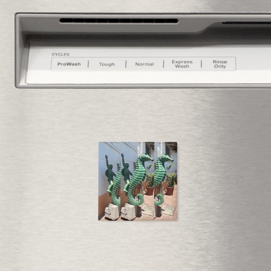 Zee Horse Rider Magnet (Insitu (Vaatwasser))