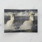 Zee Horse Wenskaart Kaart (Binnen)