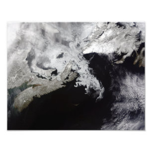 Zee ijs vult de Golf van St. Lawrence Foto Afdruk