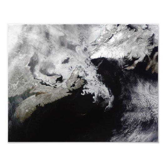 Zee ijs vult de Golf van St. Lawrence Foto Afdruk (Voorkant)