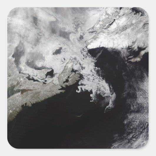 Zee ijs vult de Golf van St. Lawrence Vierkante Sticker (Voorkant)