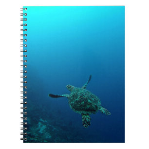 ZEE IN WATER NOTITIEBOEK