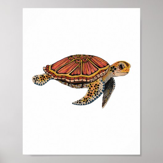Zee kalkoenen poster (Voorkant)