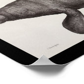 Zee Koe Beheer mariene biologie afdrukken Poster (Hoek)