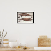 Zee Koe Manatee Marine Biology Anatomy Print (Keuken)