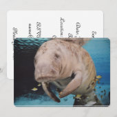 Zee koeienzwemmen kaart (Voorkant / Achterkant)