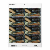 Zee Komkommer ... Yaowarat Market Food Etiket (Full Sheet)