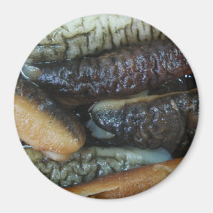 Zee Komkommer ... Yaowarat Market Food Magneet