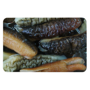 Zee Komkommer ... Yaowarat Market Food Magneet