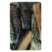 Zee Komkommer ... Yaowarat Market Food Magneet (Verticaal)