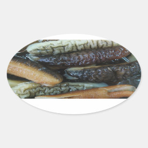 Zee Komkommer ... Yaowarat Market Food Ovale Sticker