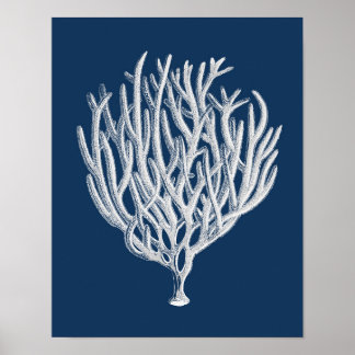 Zee Koraal 1 strand-decorkunst Poster