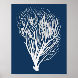 Zee Koraal 7-strand-decorkunst Poster