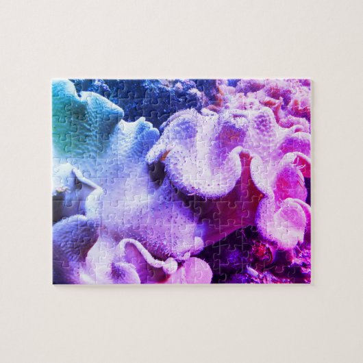 Zee koraal legpuzzel (Horizontaal)