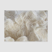 Zee Koraal Mooie Romige Witte Fotografie Tissuepapier (Voorkant)