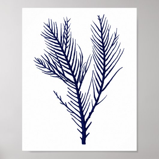 Zee Koraalzeemacht blauw stranddek Poster (Voorkant)