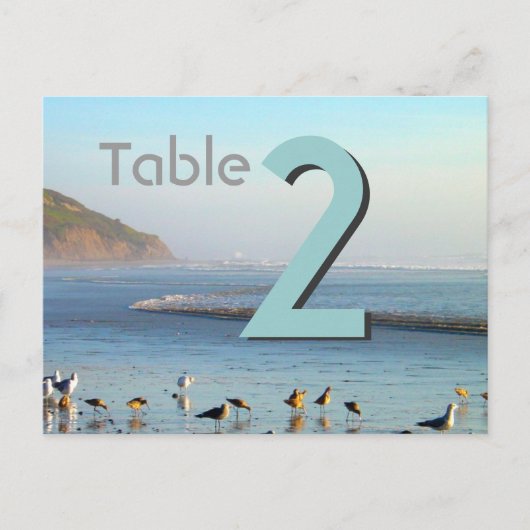 Zee krijgt het nummer van de tabelkaart briefkaart (Voorkant)