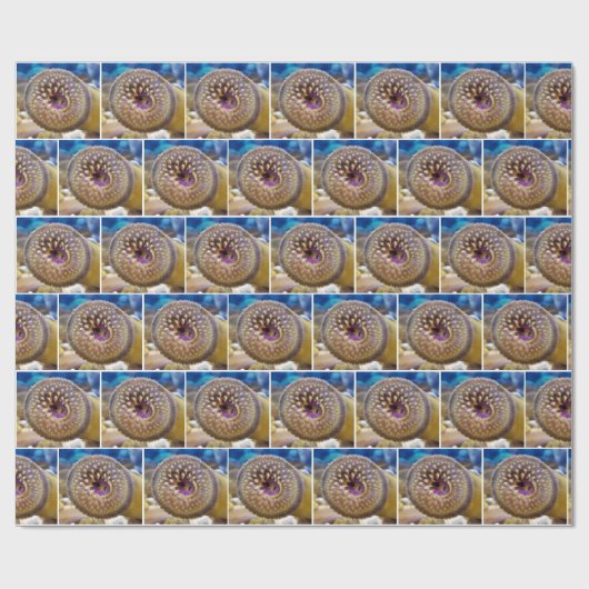 zee lamprey close-up cadeaupapier (Vlak)