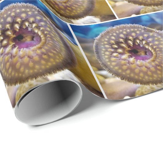 zee lamprey close-up cadeaupapier (Rol Hoek)