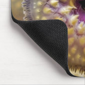 Zee Lamprey mond Muismat (Hoek)