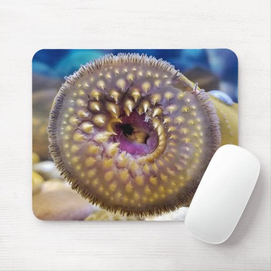 Zee Lamprey mond Muismat (Met muis)