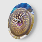 Zee Lamprey Mouth Grote Klok (Hoek)