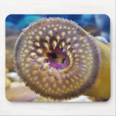 Zee Lamprey Mouth Muismat (Voorkant)