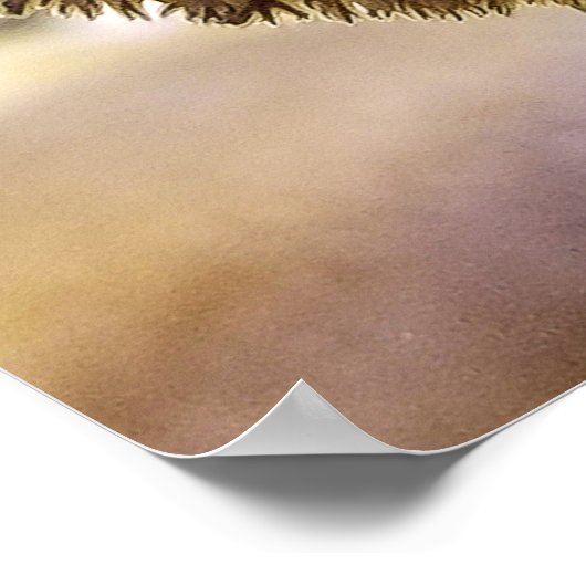 Zee Lamprey Mouth Poster (Hoek)