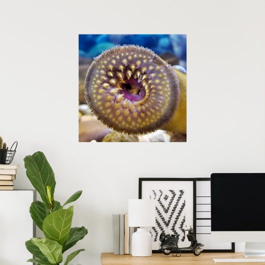 Zee Lamprey Mouth Poster (Thuiskantoor)