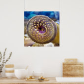 Zee Lamprey Mouth Poster (Keuken)