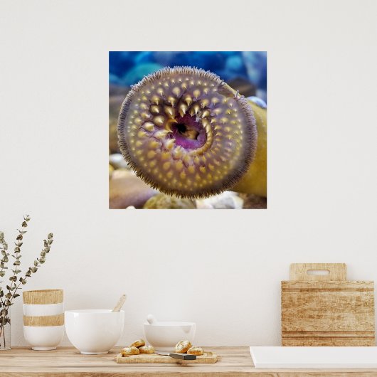 Zee Lamprey Mouth Poster (Keuken)