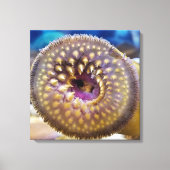 Zee Lamprey Mouth Poster Canvas Afdruk (Voorkant)