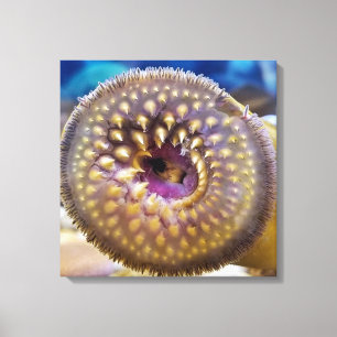 Zee Lamprey Mouth Poster Canvas Afdruk
