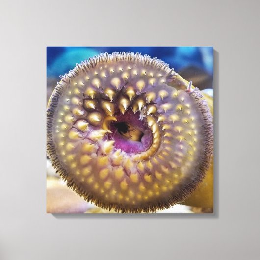 Zee Lamprey Mouth Poster Canvas Afdruk (Voorkant)