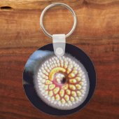 Zee Lamprey Sleutelhanger (Voorkant)