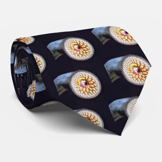 Zee Lamprey Stropdas (Opgerold)