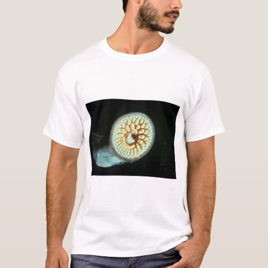 Zee Lamprey T-shirt (Voorkant)