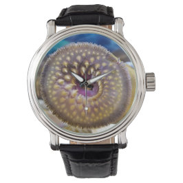 Zee Lamprey zuigmond Horloge