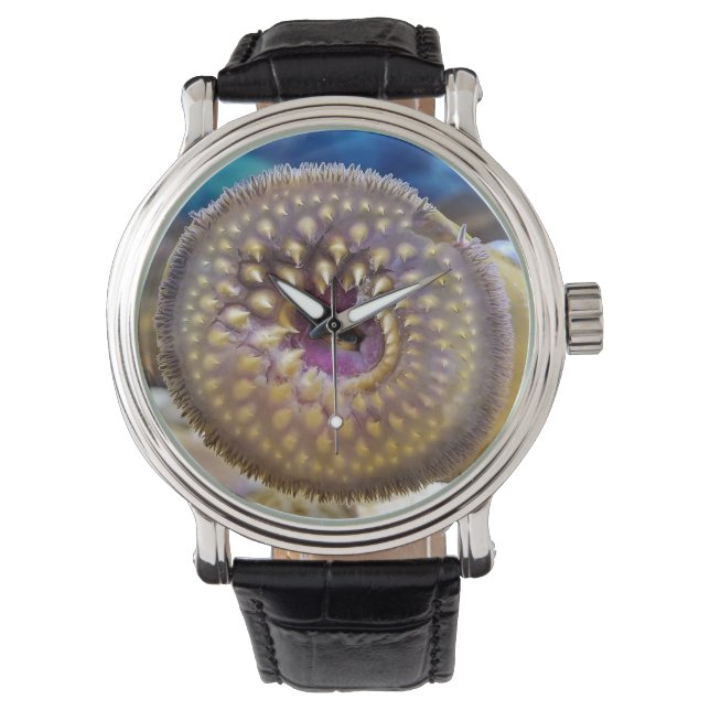 Zee Lamprey zuigmond Horloge (Voorkant)