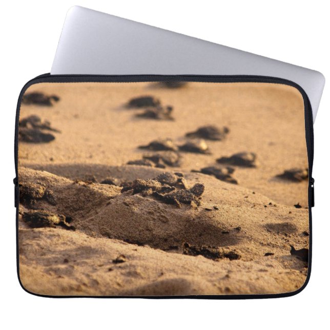 Zee Laptop Sleeve (Voorkant)