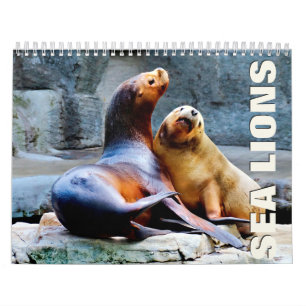 Zee-ledenwandkalender Kalender