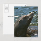 Zee Leeuw Briefkaarten (Voorkant / Achterkant)