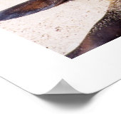 Zee leeuw die zijn nekspieren ontspannen poster (Hoek)