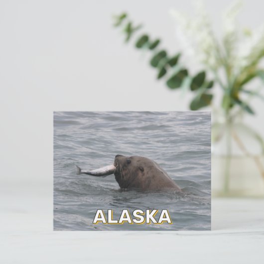 Zee leeuw eet zalm in Alaska Briefkaart (Staand voorkant)