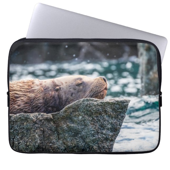 Zee leeuw in de herrijzingsbaai, Alaska Laptop Sleeve (Voorkant)