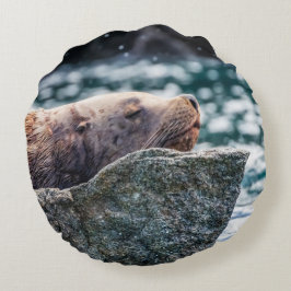 Zee leeuw in de herrijzingsbaai, Alaska Rond Kussen
